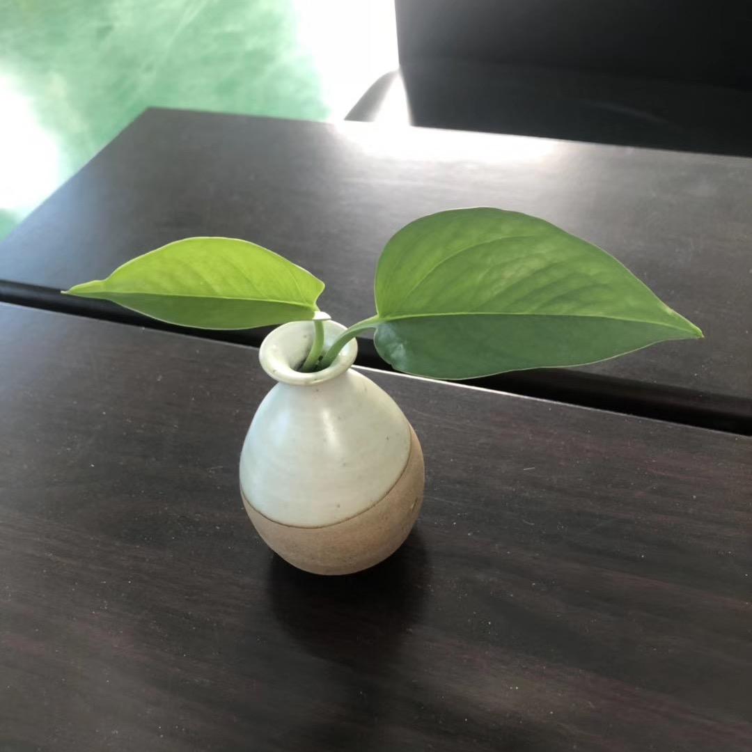 橙汁儿～