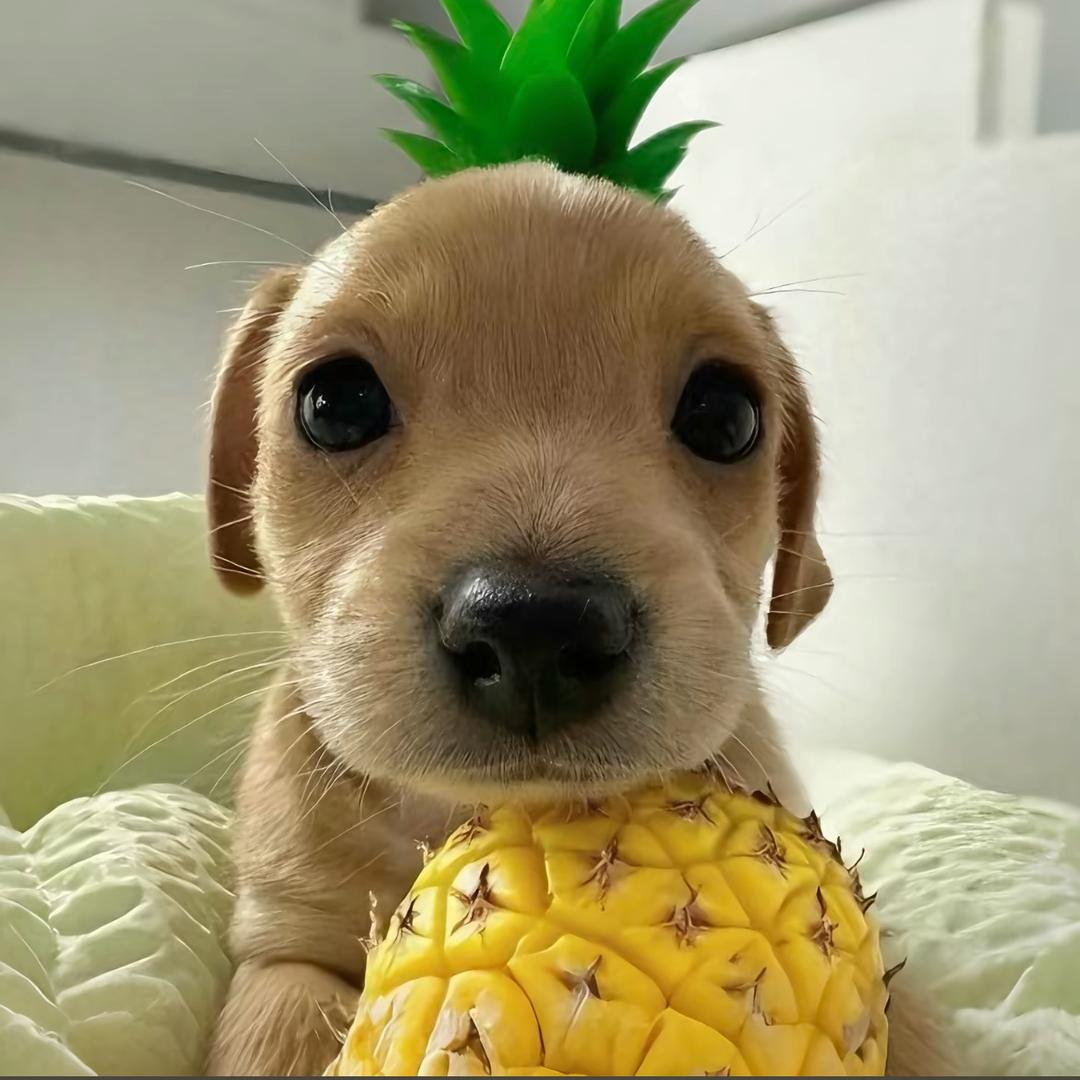 小熙熙