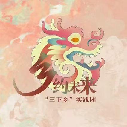 乡约未来三下乡实践团