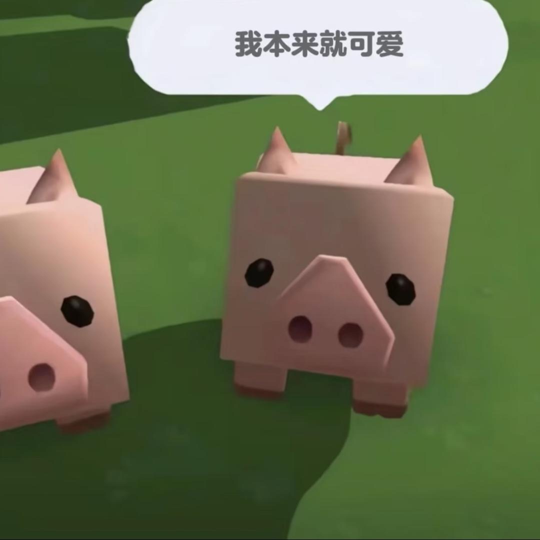 鸡翅君我一直在想你