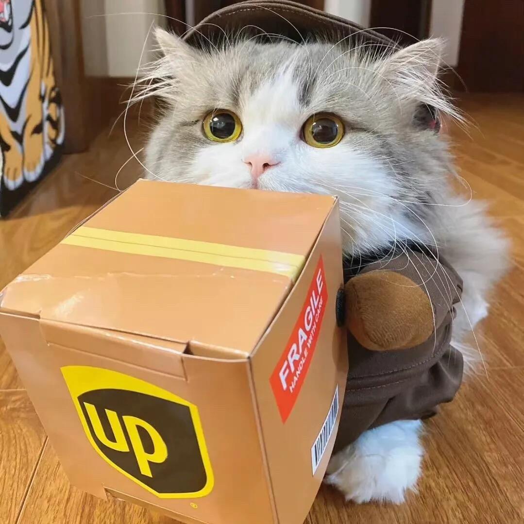 Upupup！