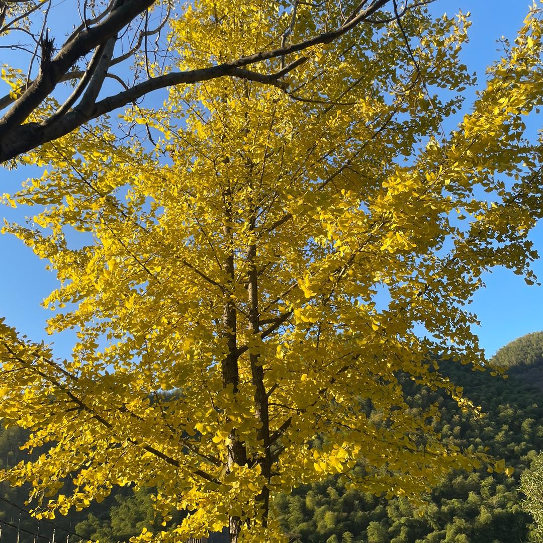 天天开心快乐店