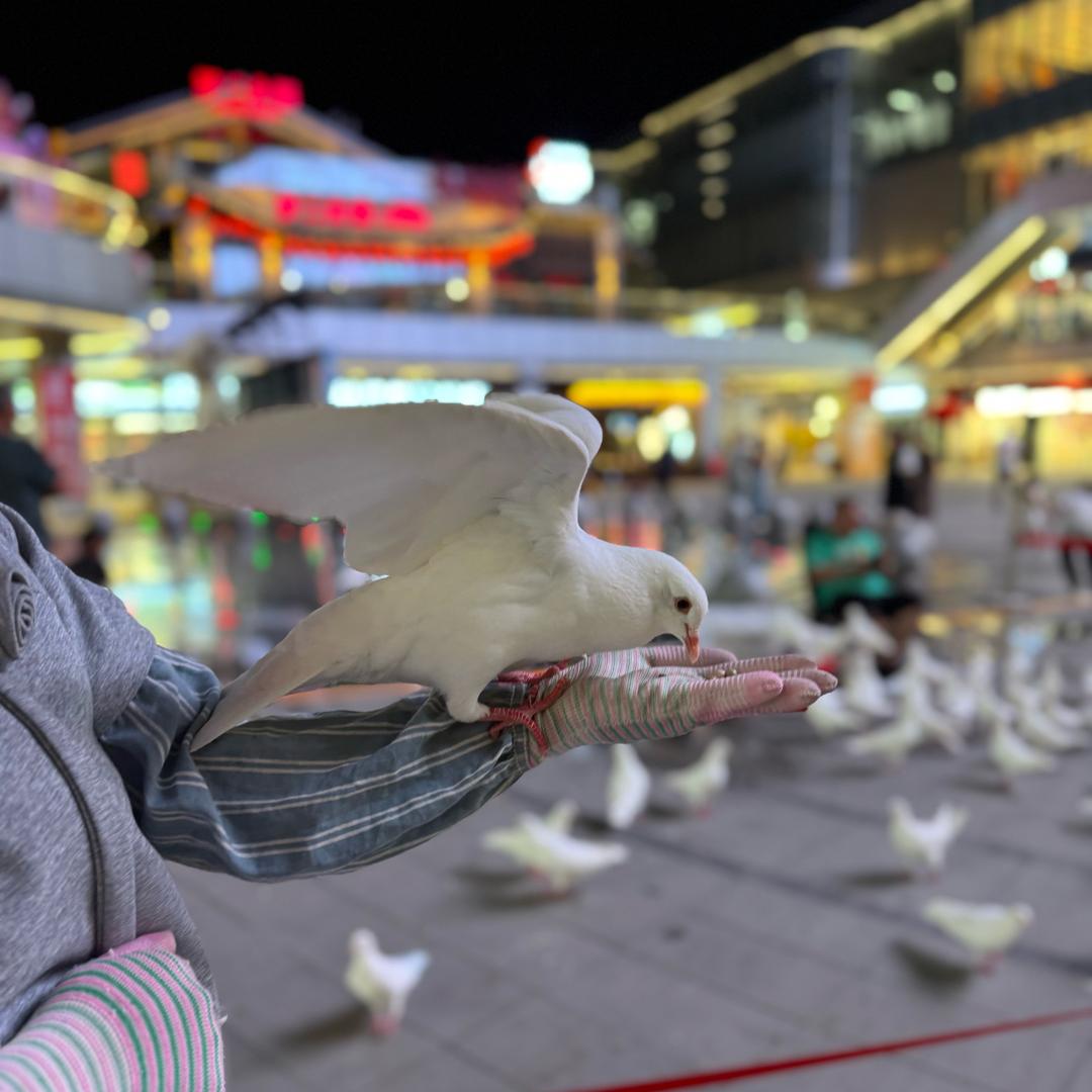 电商（多）（淘）服务