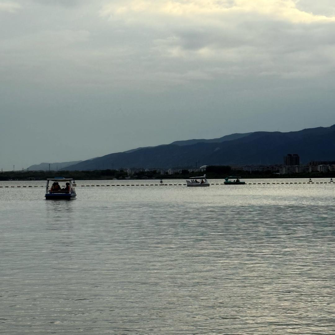 没有网名 -