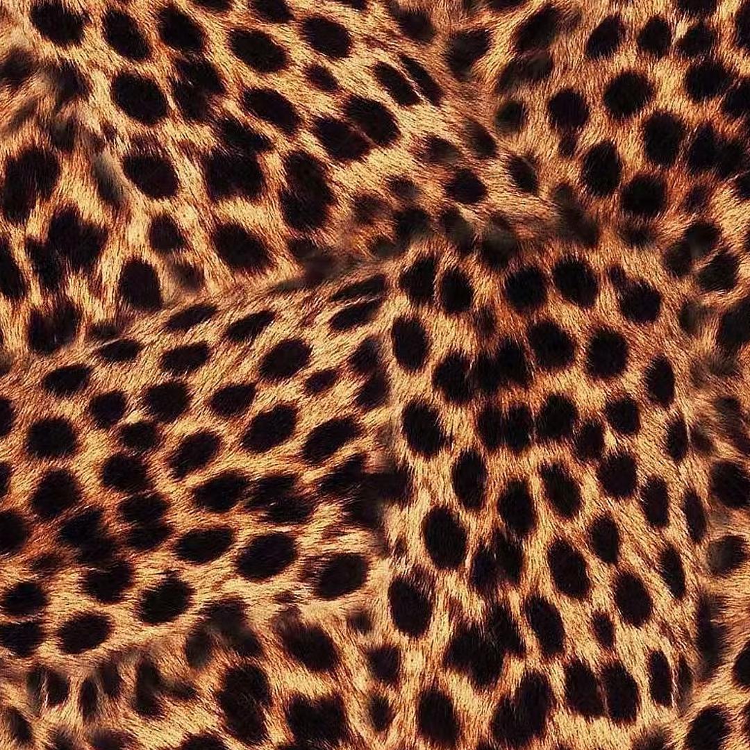 𝓐𝓗-