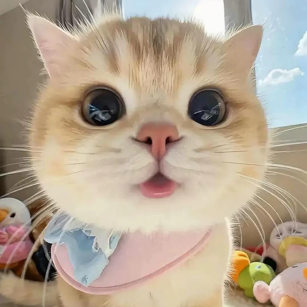 小悔