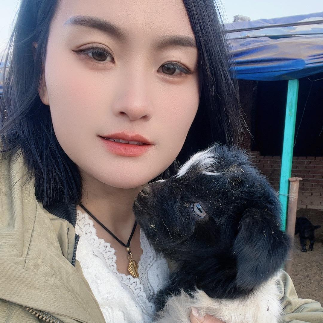 西南沟山羊肉🐑