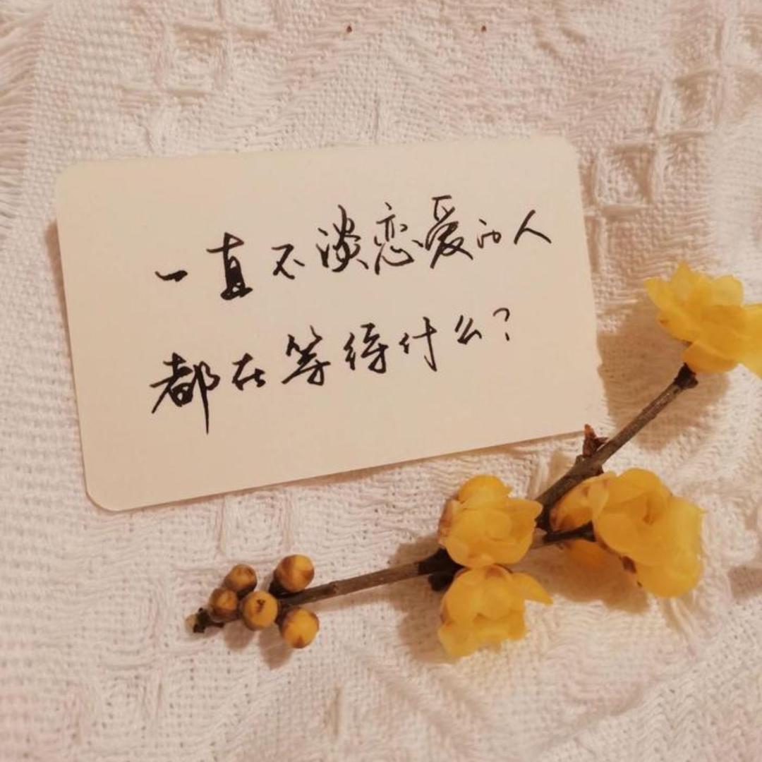 唐壕府-33直播号