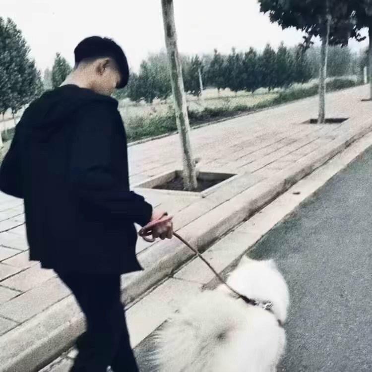 莱茵河