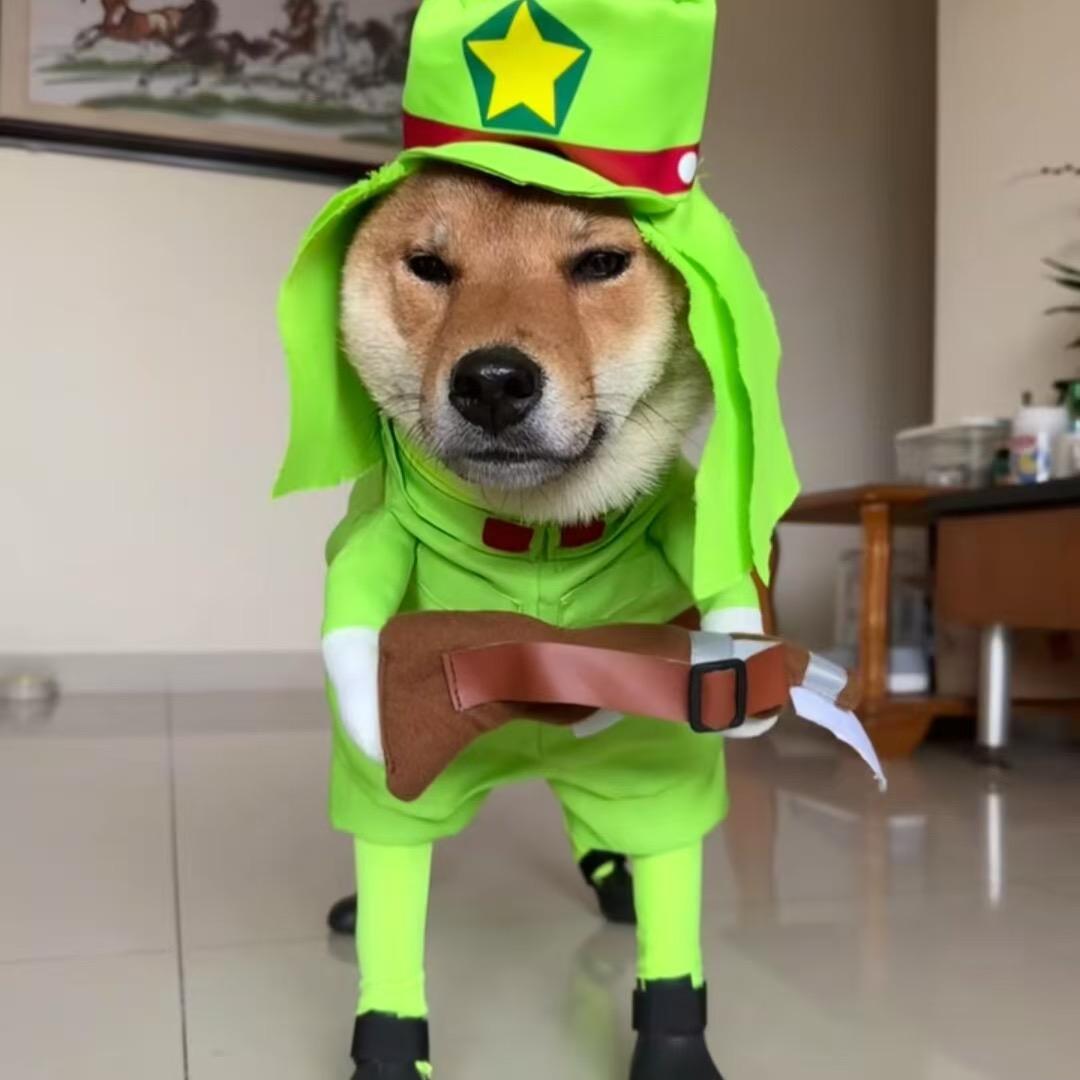S·锦城
