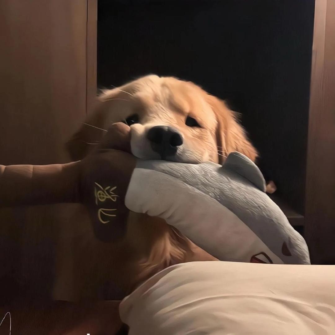 兔叽
