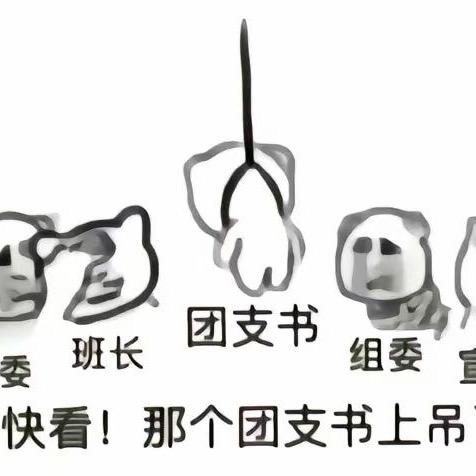 福福爱摆烂