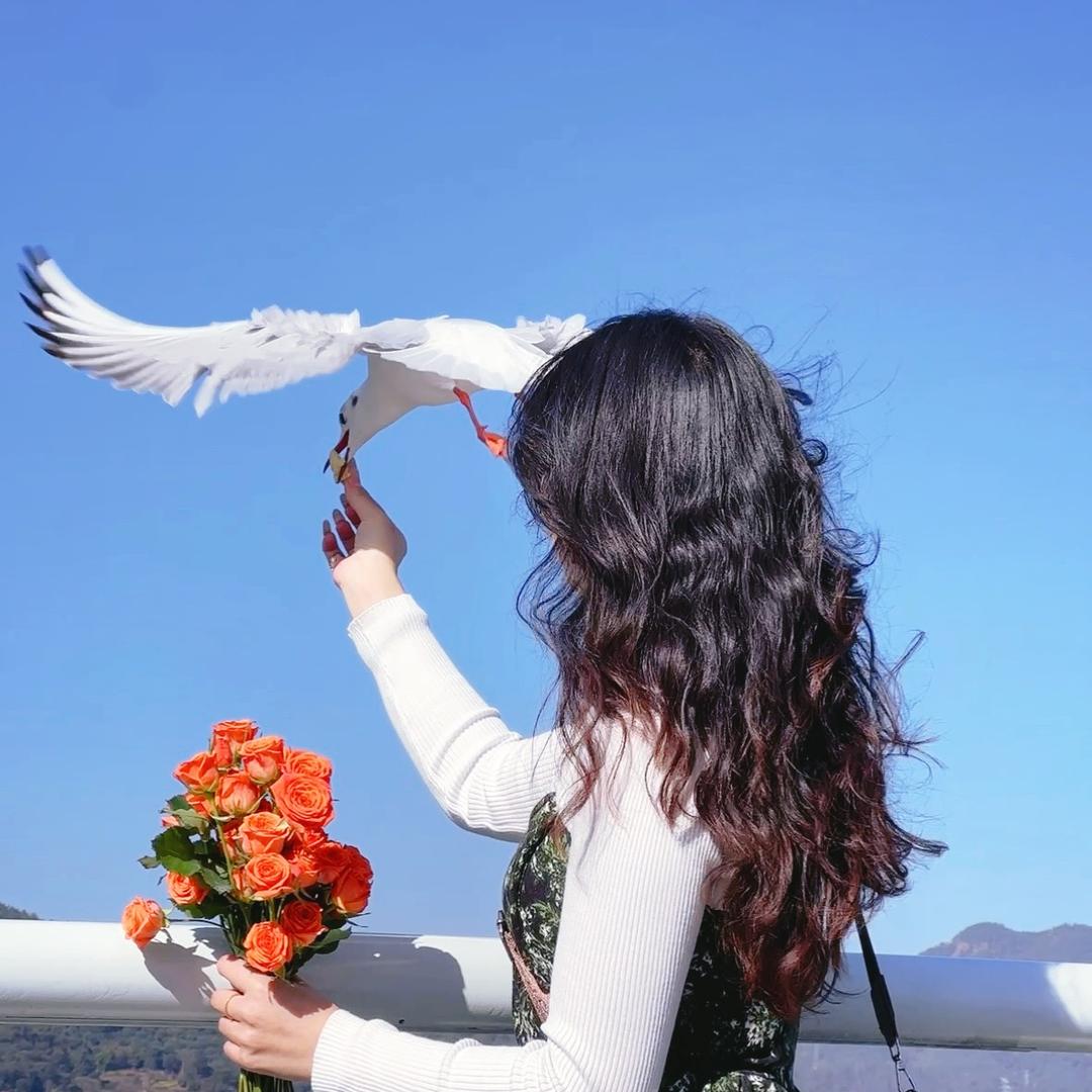 爱吃橘子的李李