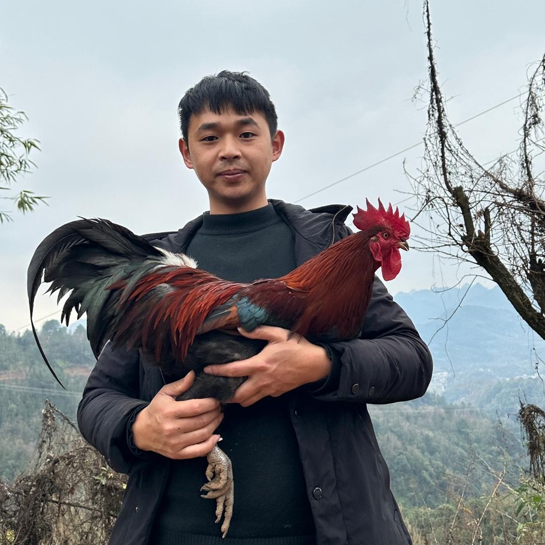 乡农小吴·农村土特产