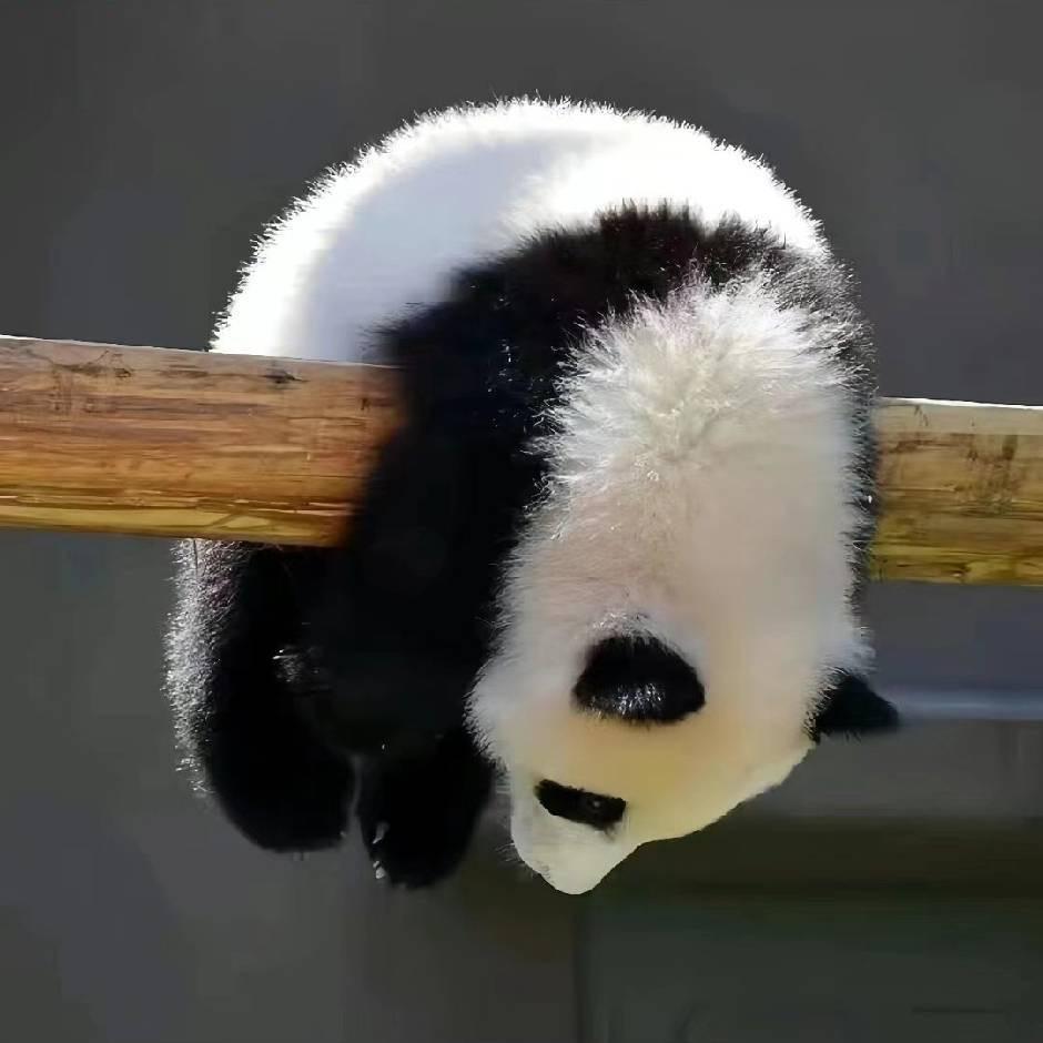 小曾爱潮玩 (aj潮玩回收♻️)