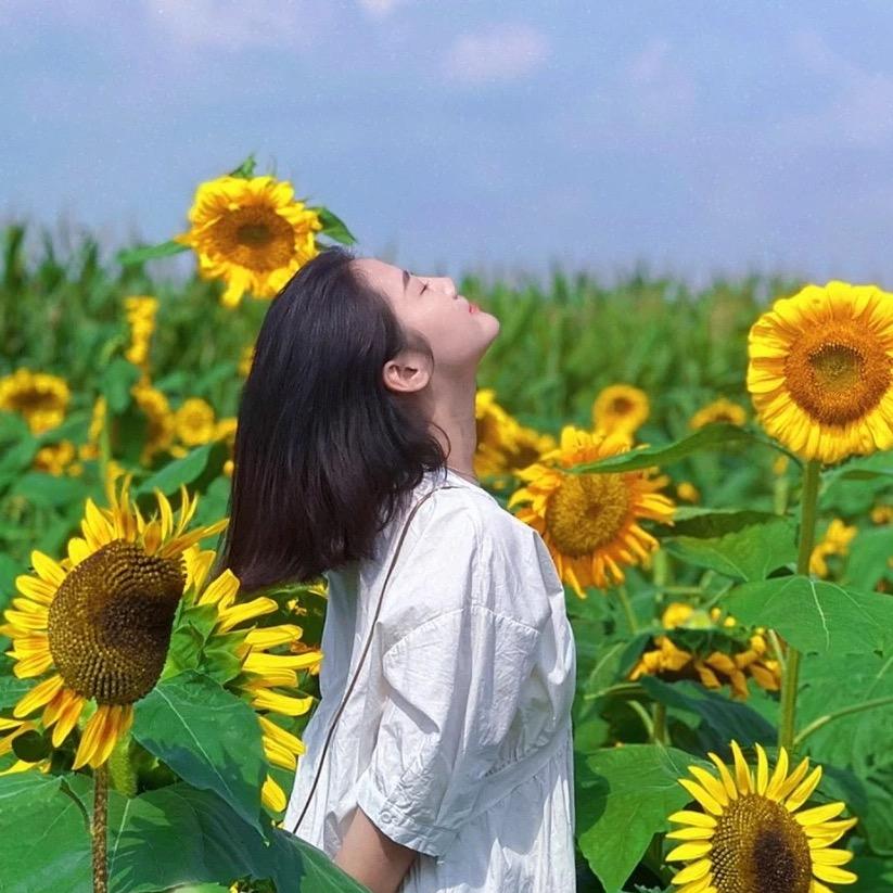 逆风如解意hjm