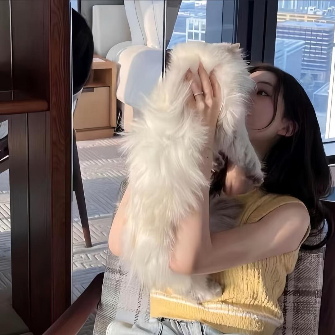 小小灰狼也会浪漫🌱