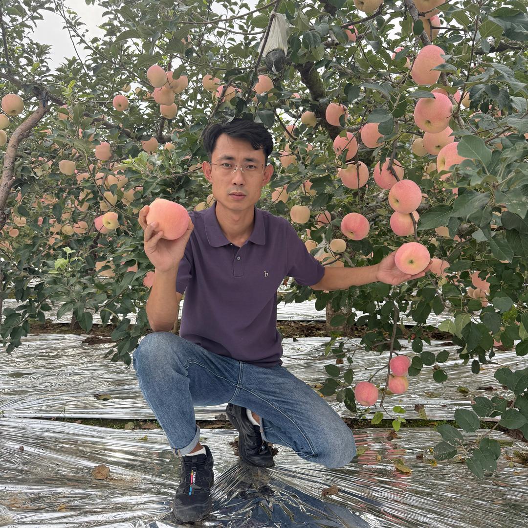 李群管理苹果真有道