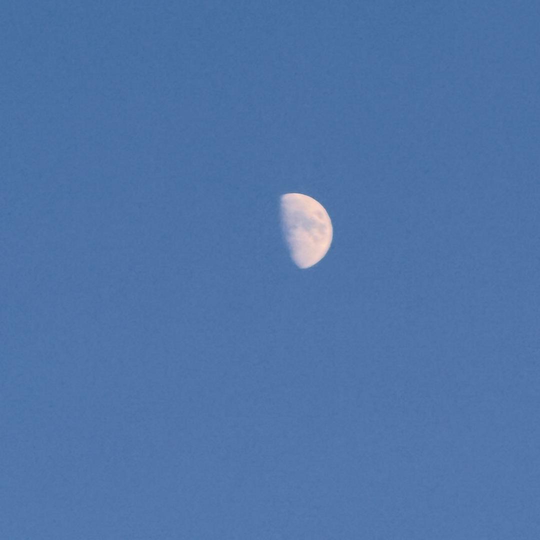 天空下的星星