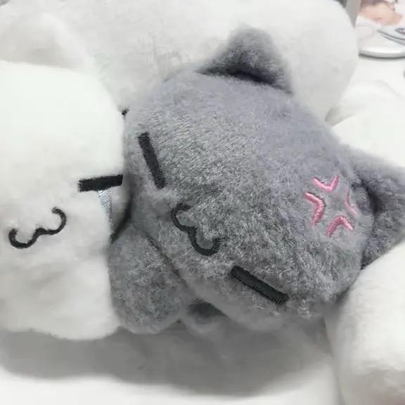 紀魚