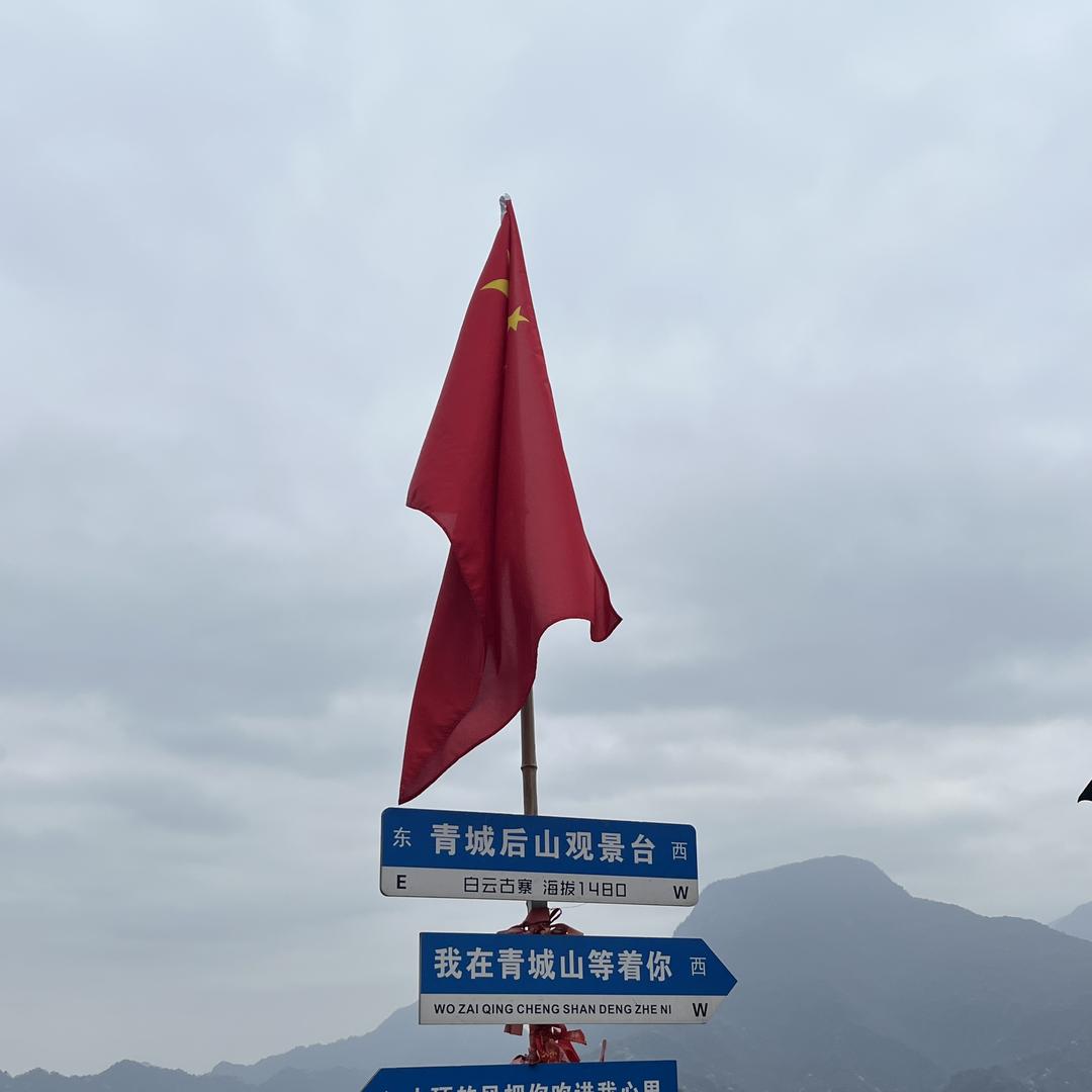 顺捷通汽车代办服务部