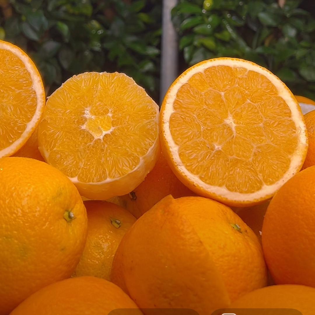咪咪（卖赣南脐橙版🍊）