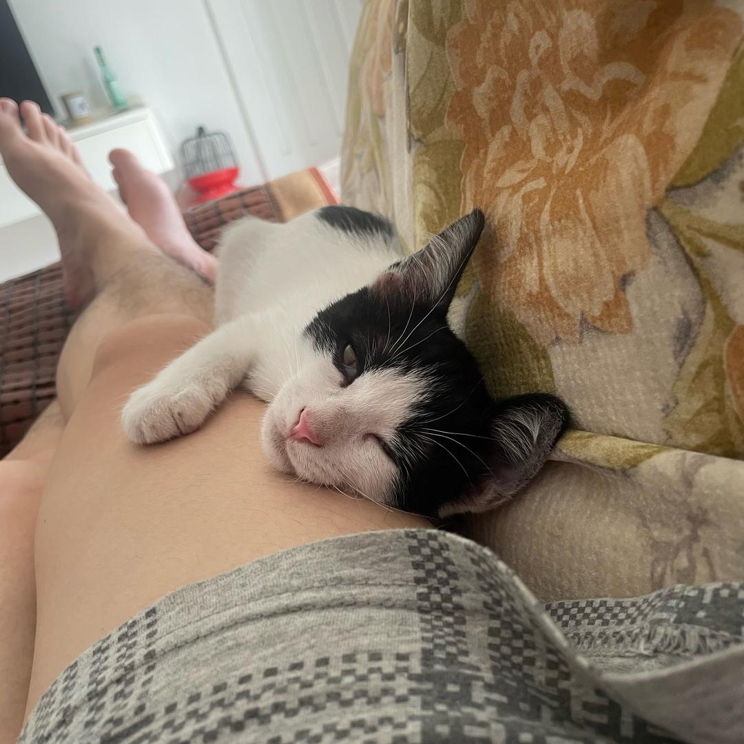 好奇的奥因斯坦