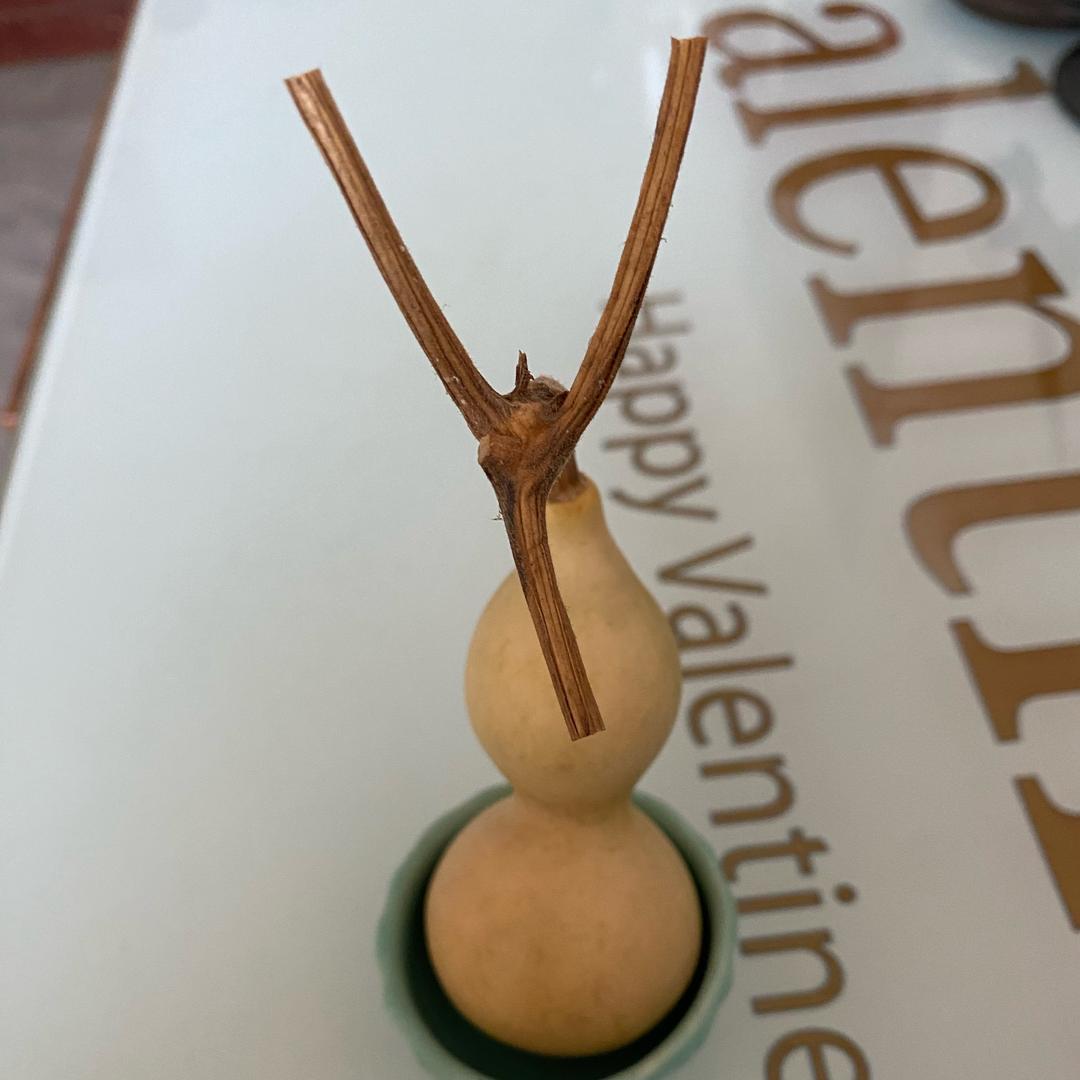 健♥哥🐭^O^🐭♥🐭