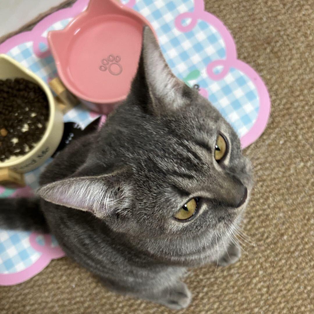 🐾