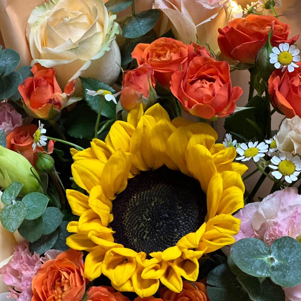 超越自我杨秀平