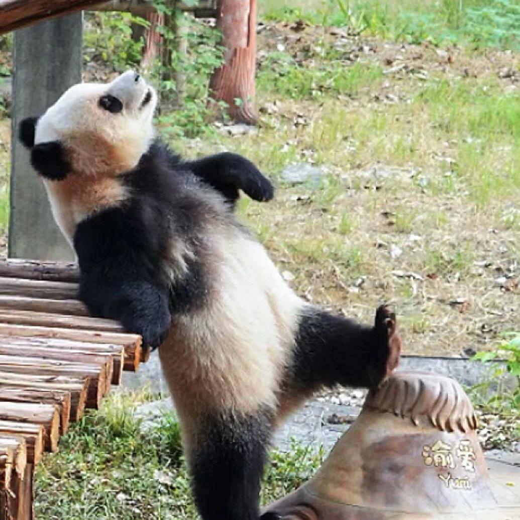 悟&