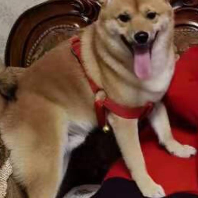 好运