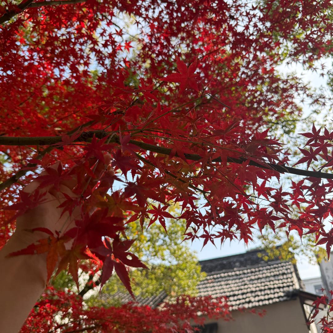 上汽大通汽车需要可私聊