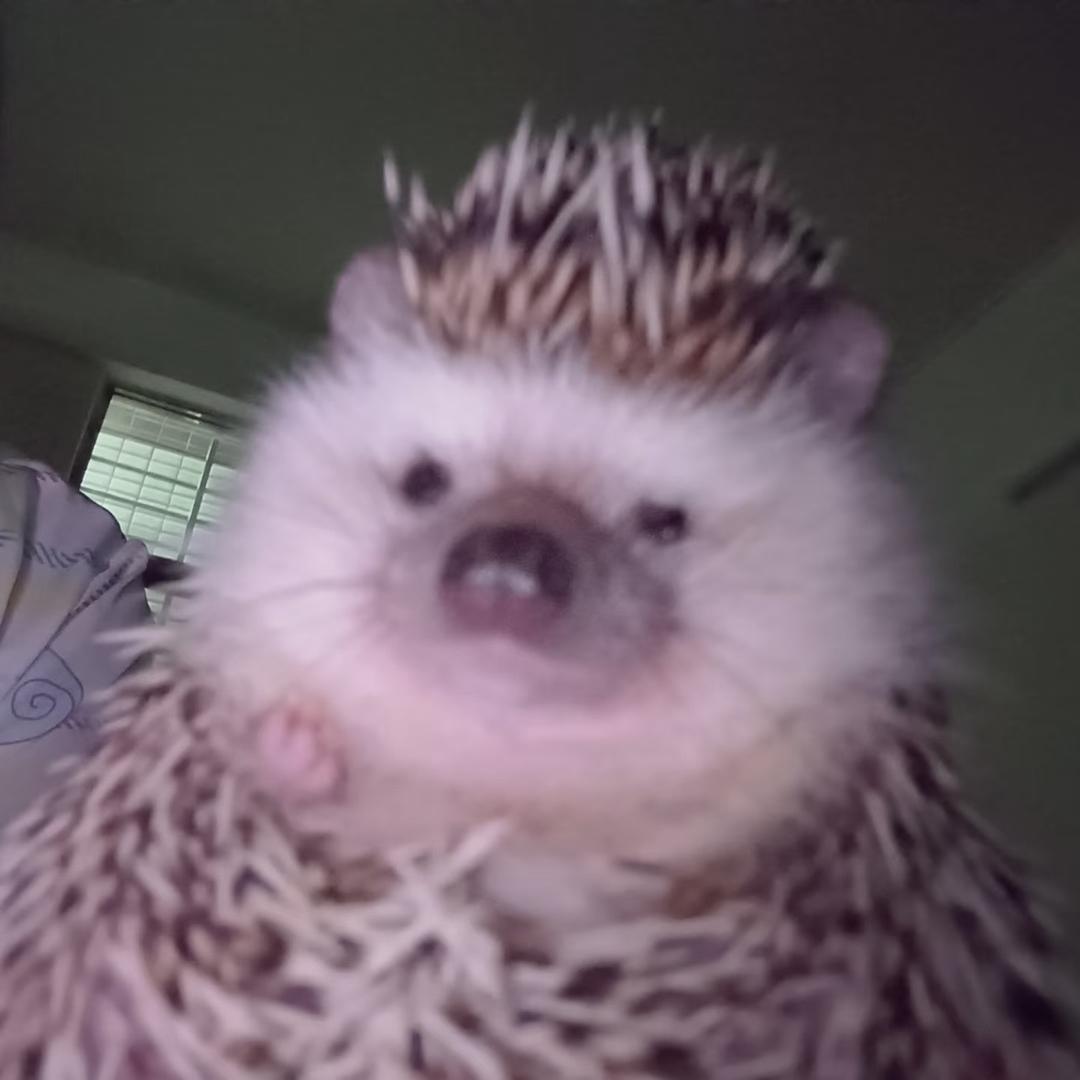 2*Ni
