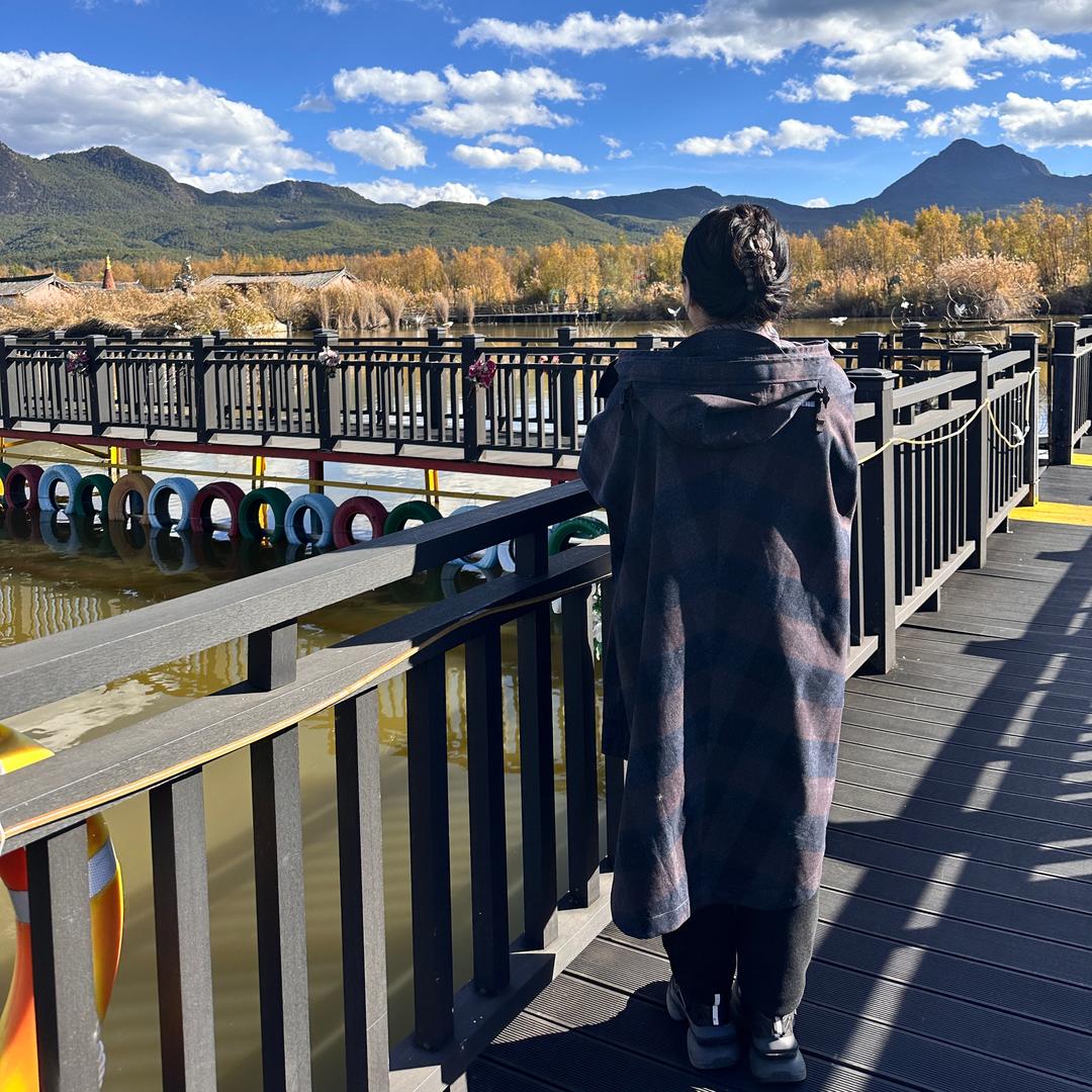 肥圆圆（减肥系列）