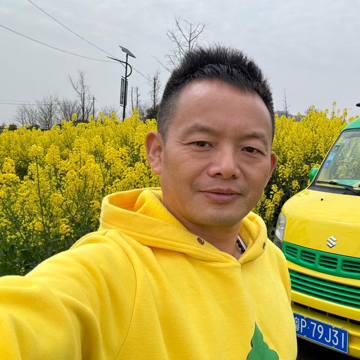 树漫游