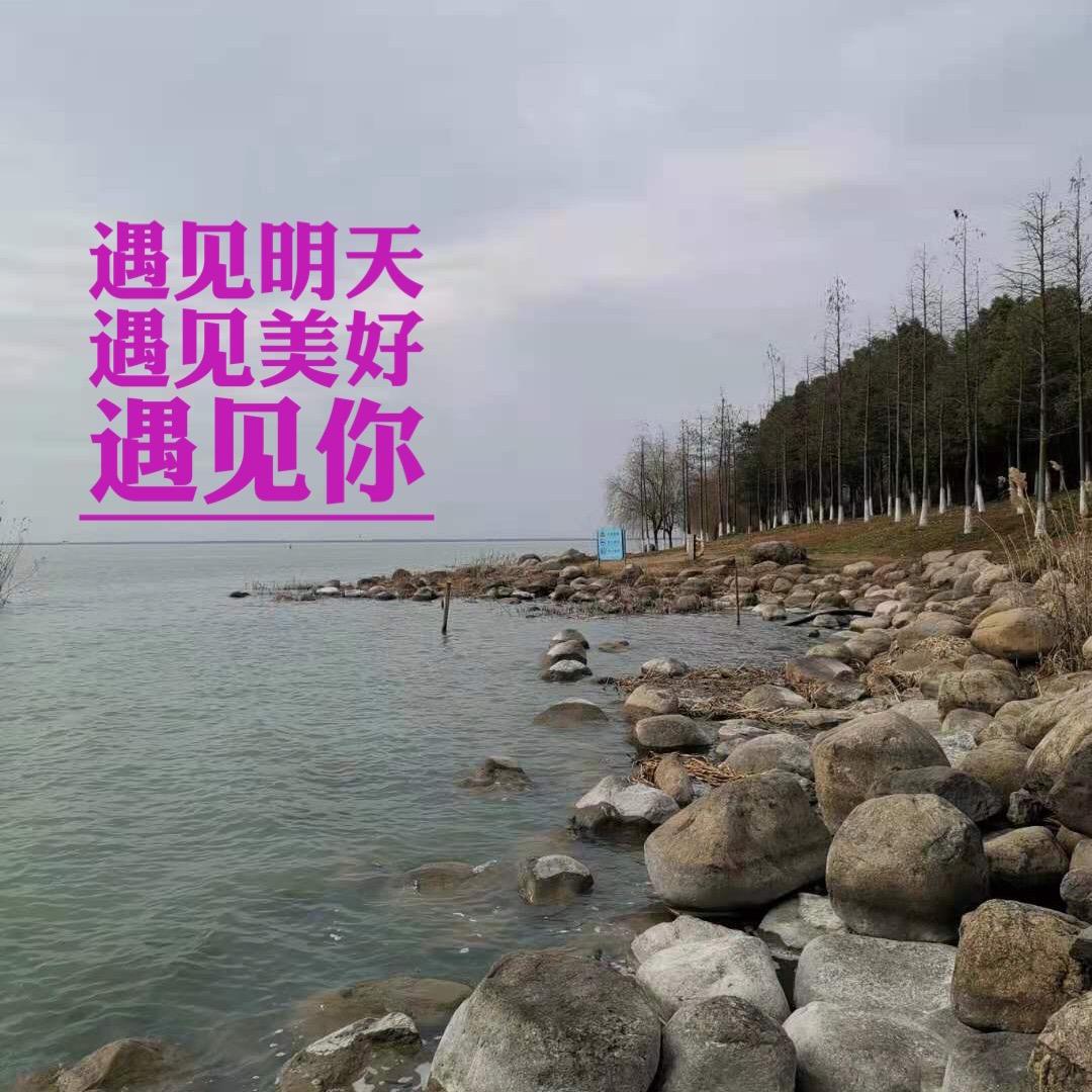 汪晓红—美丽的雨巷