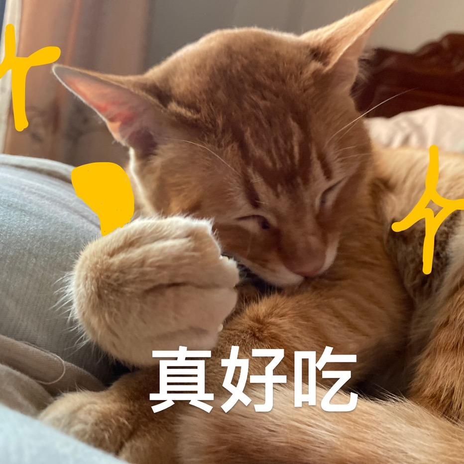 胖阿橘要成为漫画家
