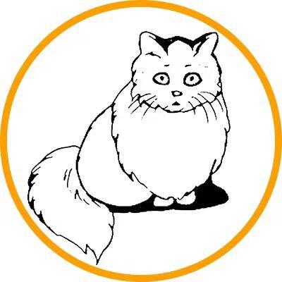 荖猫情感