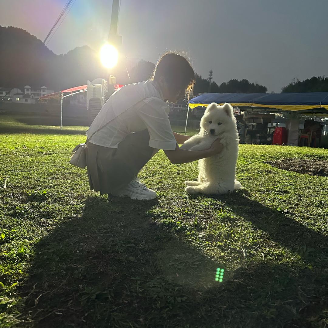 九离！