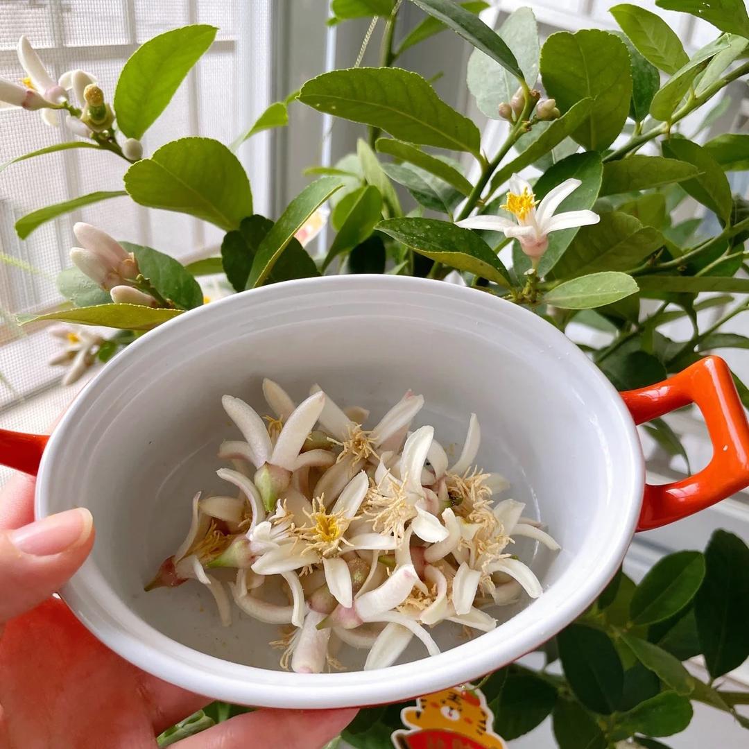 福璟花卉