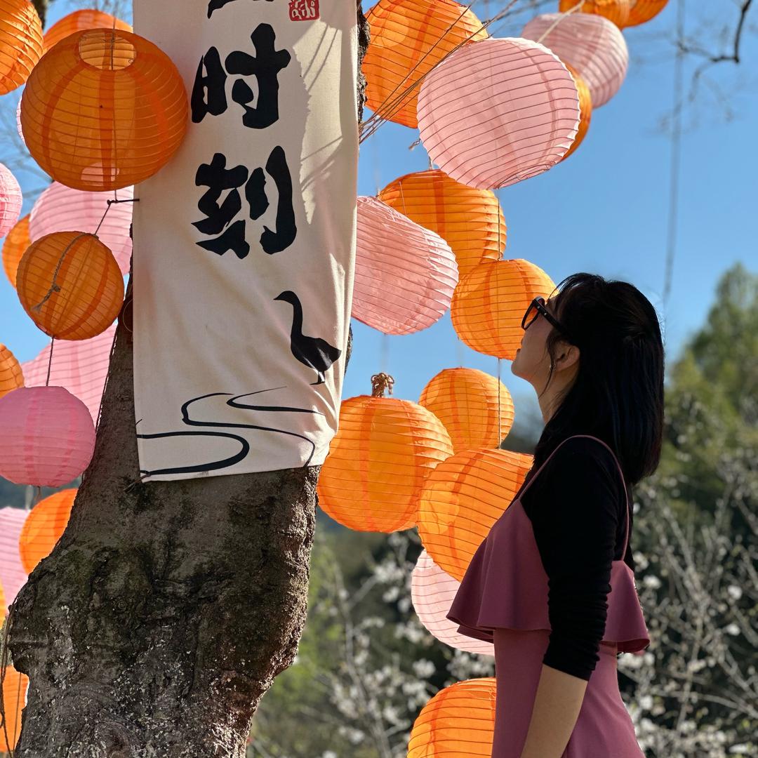 太阳以南