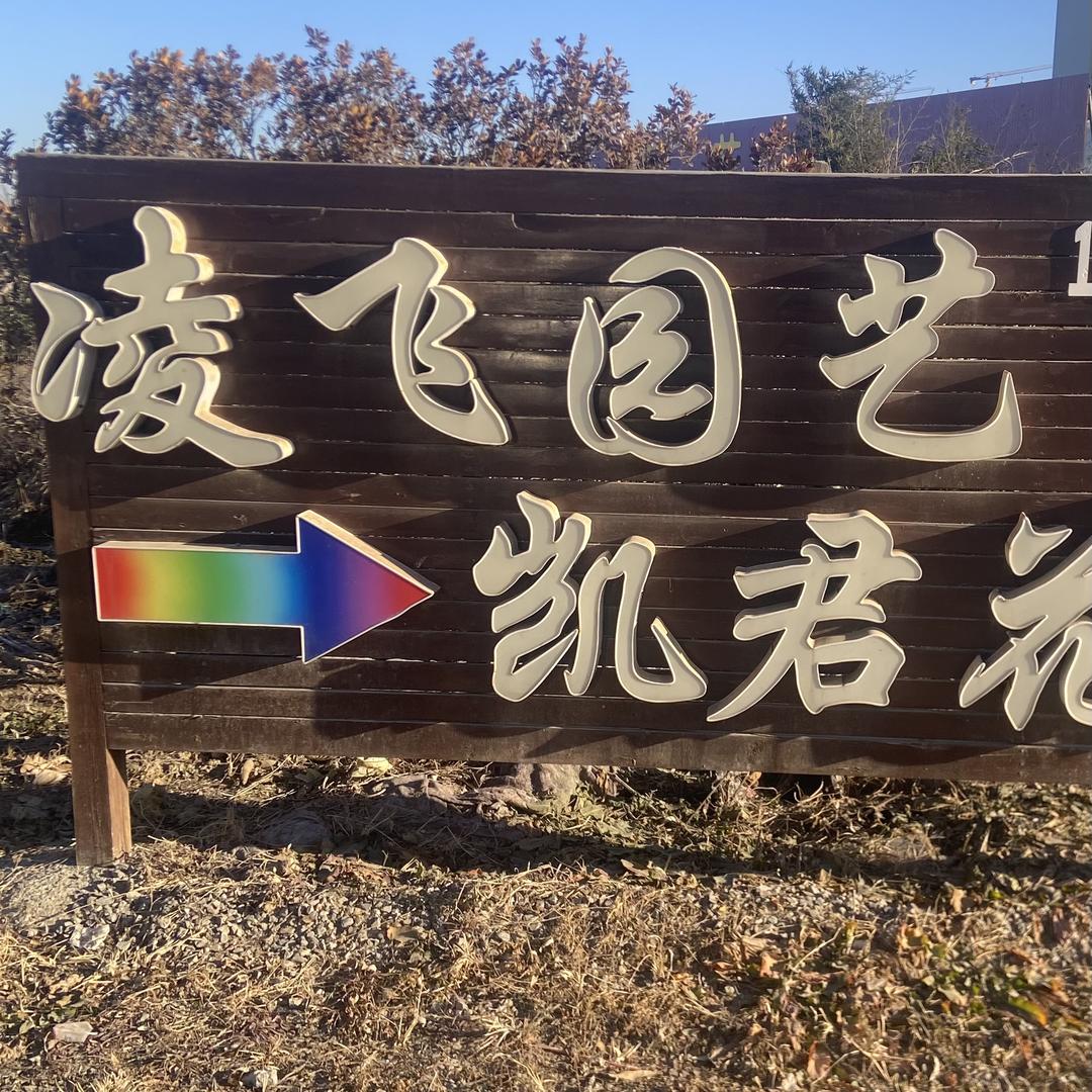 凌飞园艺一号