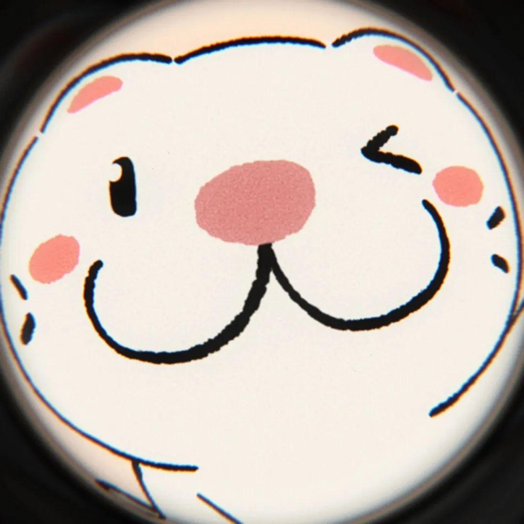 刘大美女头像