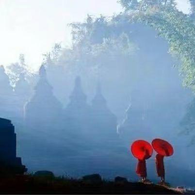 尽量不乱来📿