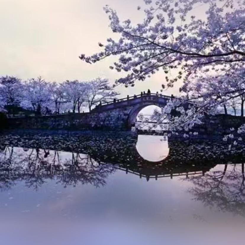 曾经沧海