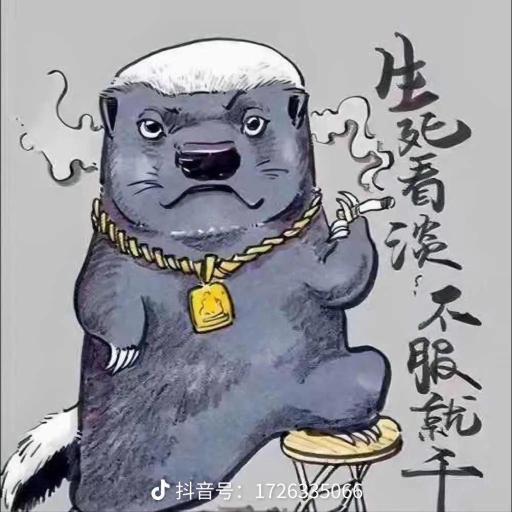 平头哥