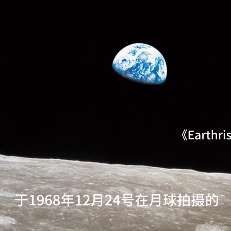 直到长出青苔