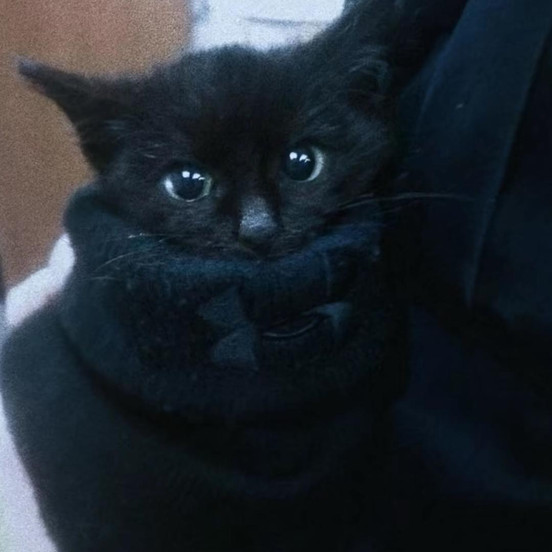 Zoé