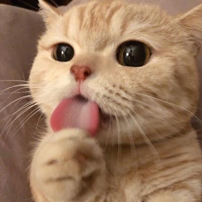 骑不动的小尹